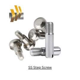 SS Step Screw
